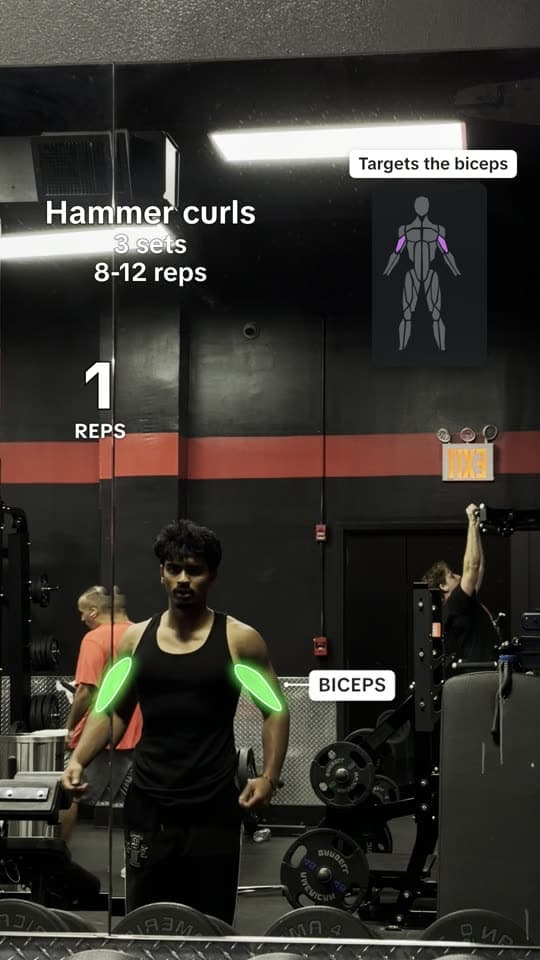 A Rep Sheet reel